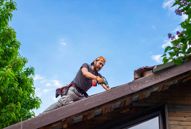 Best Roof Insulation Installation  in Cedar Bluff, VA