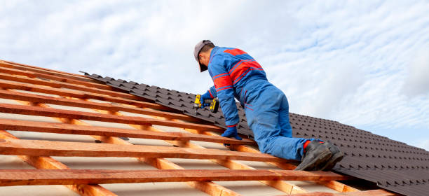 Best Roof Coating and Sealing  in Cedar Bluff, VA
