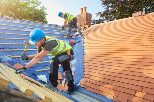 Best Roof Maintenance and Cleaning  in Cedar Bluff, VA